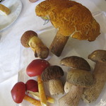 ウシマル - シェフが採ってくる天然のキノコ