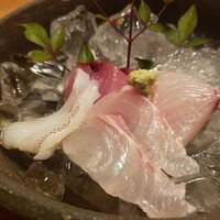 ろっこん - お造り