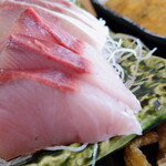 福浦漁港 みなと食堂 - 刺身（４）”わらさ”、出世魚の”ブリ”になる一歩手前、”ブリ”より若いので意外にサッパリしていました。