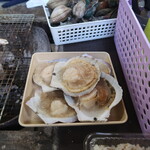 牡蠣ののぶりん - 冷凍ホタテ