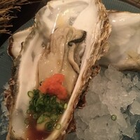 魚斉 - 
