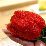 勢麟 - 勢麟さんの為に特別栽培していただいている掛川の苺。勿論朝摘み。甘い！！