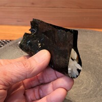 米菜°sakura 織音寿し - 有明一番海苔の手巻き寿司×シチリアのオリーブオイル