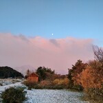 さかなどころ ともさき - 