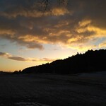 さかなどころ ともさき - 