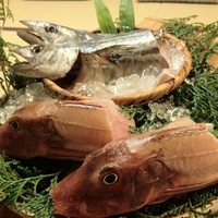魚めし 竹亭 - 
