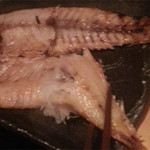 白銀屋　溜池 - アマダイ、これも旨し