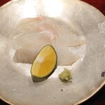 島津 - 大間の朝締めの寒平目