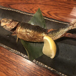 貝と魚と炭び シェルまる - 鰯