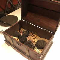 マルゴット エ バッチャーレ - 