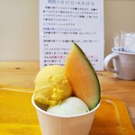 阿蘇天然アイス カフェ＆ショップ - マンゴーとキウイ