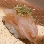 Ginza Sushi Nakahisa - 昆布〆のボタンエビ。昆布の旨味をボタンが吸収しています