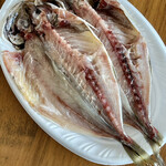 カネヒデ小林商店 - しっとり脂が浮いて艶々の鯵くん