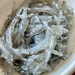 カネヒデ小林商店 - この生しらすには参った　旨すぎる凄すぎる新年早々良いものいただきました