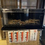 Washu To Wadan Kakomi Ryouridai An - ズワイガニ入荷してます！お刺身・焼物・しゃぶしゃぶなどお楽しみいただけます♪