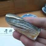 寿司割烹 魚紋 - 小鰭。リフトぉ(^o^)/