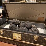 スガラボヴィー - 