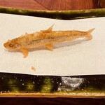 旬彩天 つちや - わかさぎ