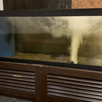 べに江 真弓店 - 車海老専用の生簀