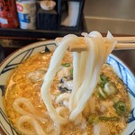 Marugame Seimen - つるしこうどん