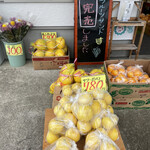 Furu-Tsu Shoppu Sueshige - 柑橘の奥にフルーツサンド完売の看板