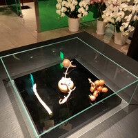 カンテサンス - 