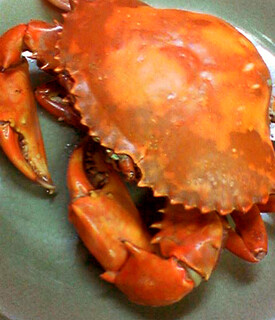 h CHEDI LUANG - マングローブクラブ　身がしっかりと詰まった甘みのある蟹です。