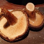 とっぴんぱらりのぷ - 