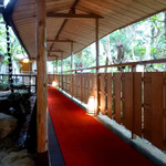 奈良・春日奥山 月日亭 - 朝の景色も良いです