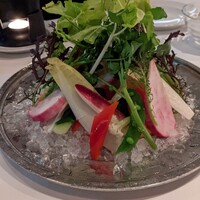 カーザ ヴィニタリア - 