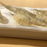 Tempura To Wain Ooshio - 