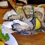 Oyster Bar ジャックポット - 