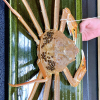 料亭 能登新 - 