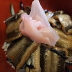 Shinozaki - 煮穴子丼、アップ