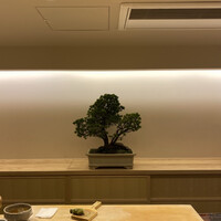 鮨 うがつ - 