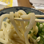 Miyatake Sanuki Udon - 冷たいうどんは麺の角が立っていてコシが強く、美味しかった。