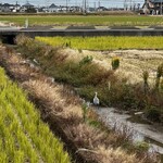 レストラン ウオゼン - 