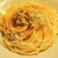 タケル クインディチ(LOQUAT) 西伊豆 - シラス