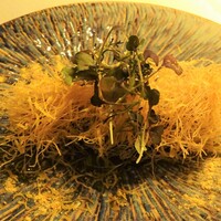 タケル クインディチ(LOQUAT) 西伊豆 - イワシ