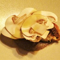 タケル クインディチ(LOQUAT) 西伊豆 - マッシュルーム