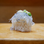 金寿司 地魚定 - 生シラス
生姜と葱でキュッと立ち上がるシラスの透明な旨みとえぐみはさっぱりと纏まる美味しさ！