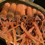 温石 - こちらも、お目にかかれた赤座ちゃん。こんばんは。