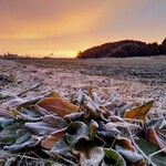 タイ料理 メーパオ - 