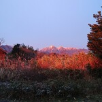 タイ料理 メーパオ - 