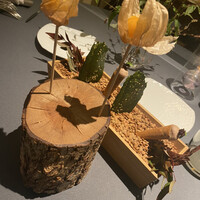 プレヴナンス - 