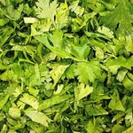 カレーのおじさま FISH - 