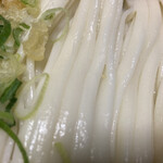 Udon Tsurukoshi - 