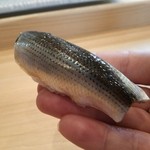 小判寿司 - 小鰭。リフト(^-^)/