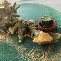 International cuisine subzero - 