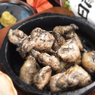 キリシマ山荘_0